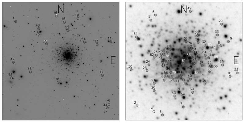 Study inspects population of variable stars in the cluster NGC 7006