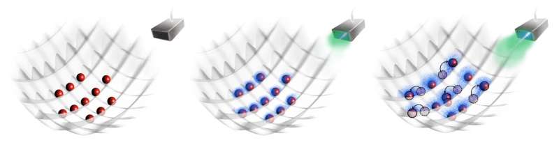 Study introduces loss-free matter-wave polaritons in an optical lattice system