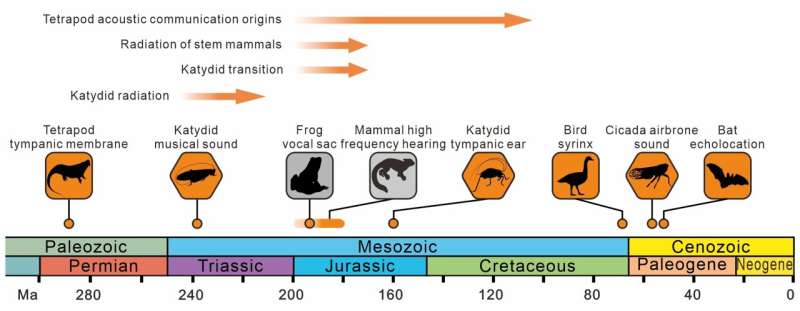 The study of fossil katydids provides new insights into the evolution of the Mesozoic acoustic landscape