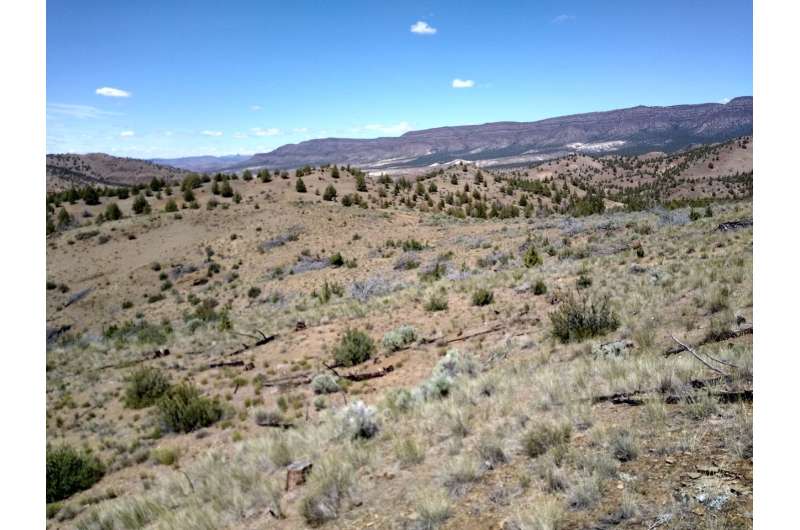 Study provides long-term look at ways to control wildfire in sagebrush steppe ecosystem