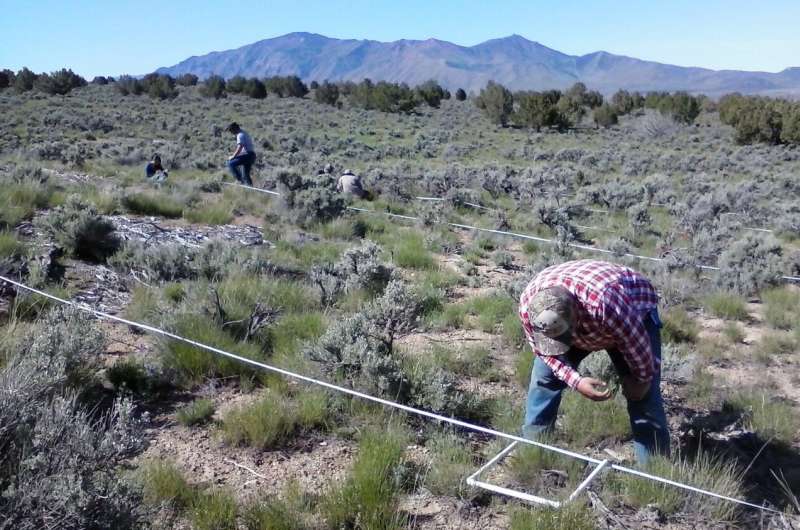 Study provides long-term look at ways to control wildfire in sagebrush steppe ecosystem