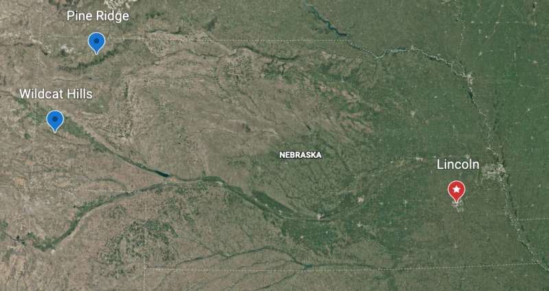 Study reveals space use, movement of bighorn sheep in Nebraska