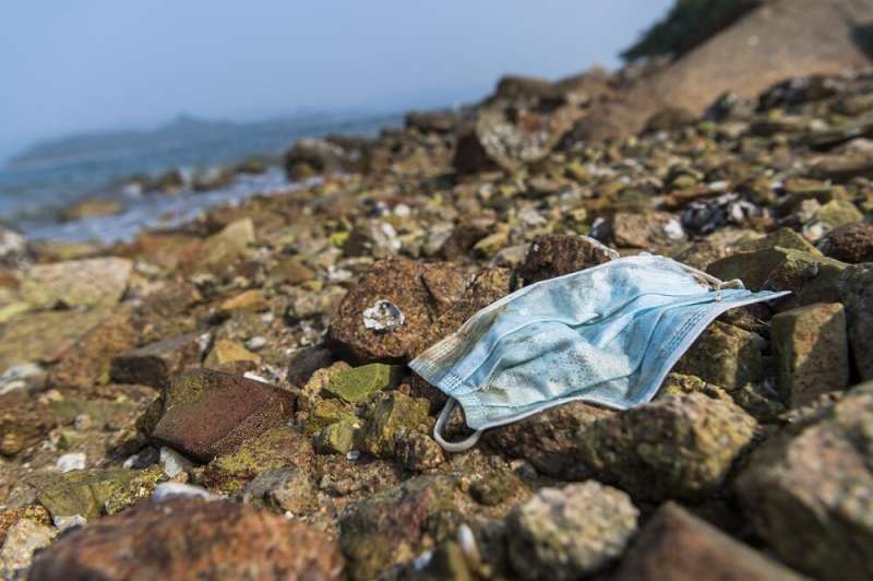Study shows improperly discarded surgical masks threaten the marine ecosystem and food chain