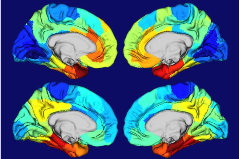 Study yields clues to why Alzheimer's disease damages certain parts of the brain