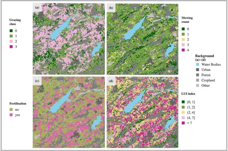 Studying grassland from space