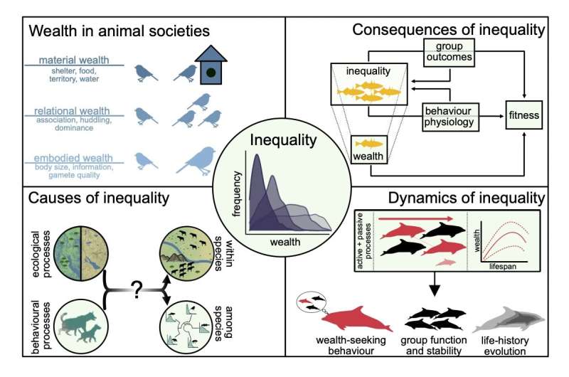 يمكن أن تكشف دراسة عدم المساواة في الثروة في الحيوانات عن أدلة حول كيفية تطور مجتمعاتهم