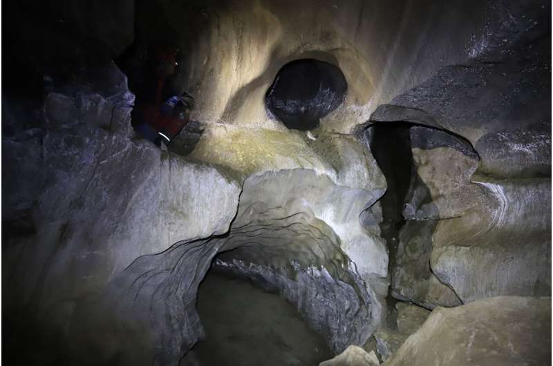 Subarctic cave bacteria could be at risk due to climate change