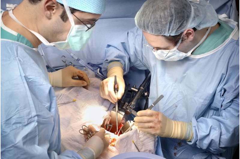 Successful transplants using damaged kidneys on the rise, but organ donors still wasted
