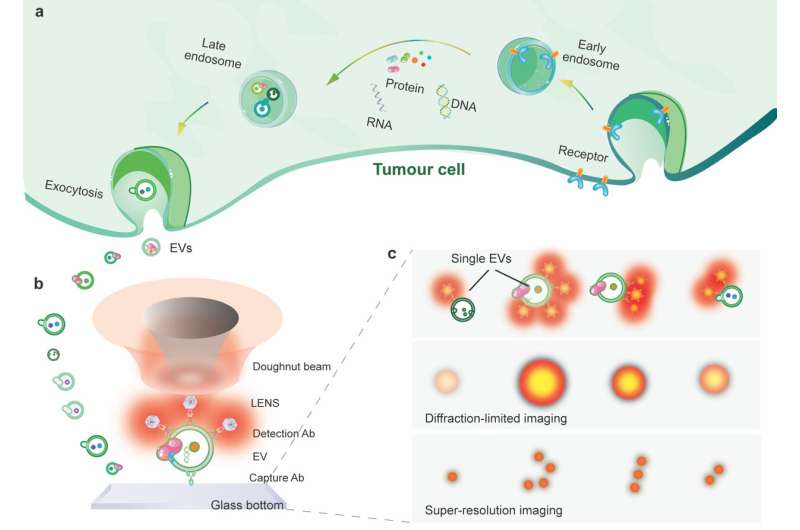 Super resolve the tumor secreted nanoparticles