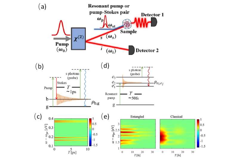 Super-resolved coherent Raman spectroscopy with quantum light