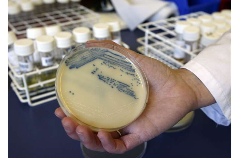 超级细菌感染,死亡在大流行开始上升