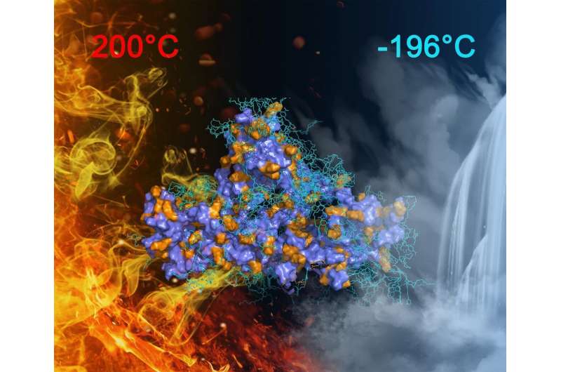Supramolecular adhesive with usable temperature range of 400 degrees Celsius