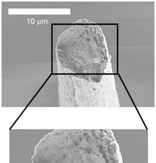 Surprising thermal properties of cellulose nanofibers