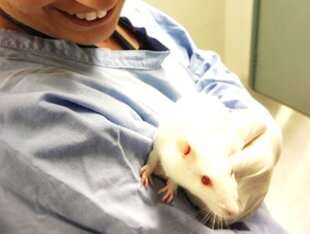 Survey into animal research shows mixed feelings and greater transparency needed
