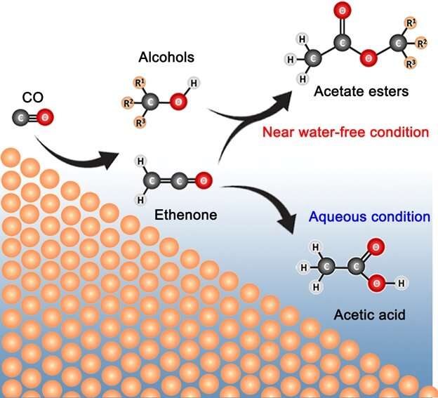 Sustainable electro-synthesis of esters