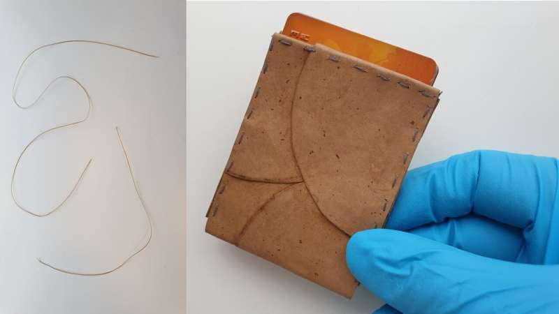 Sustainable leather, yarn and paper — from bread-eating fungi
