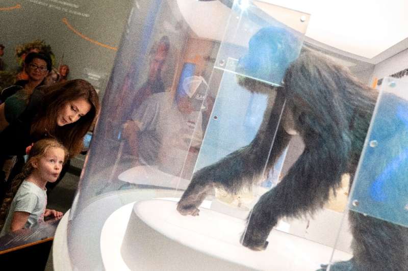 Suzanne Swindle, of Atlanta, and her four-year-old daughter look at a display that claims humans and apes are not related