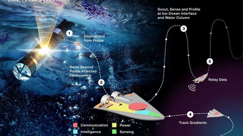Swarm of tiny swimming robots could search for life on distant worlds