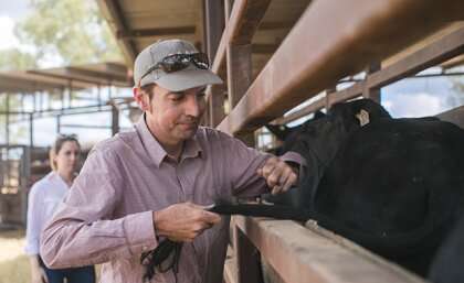 Tail hair technology hits the 'bullseye' for beef producers