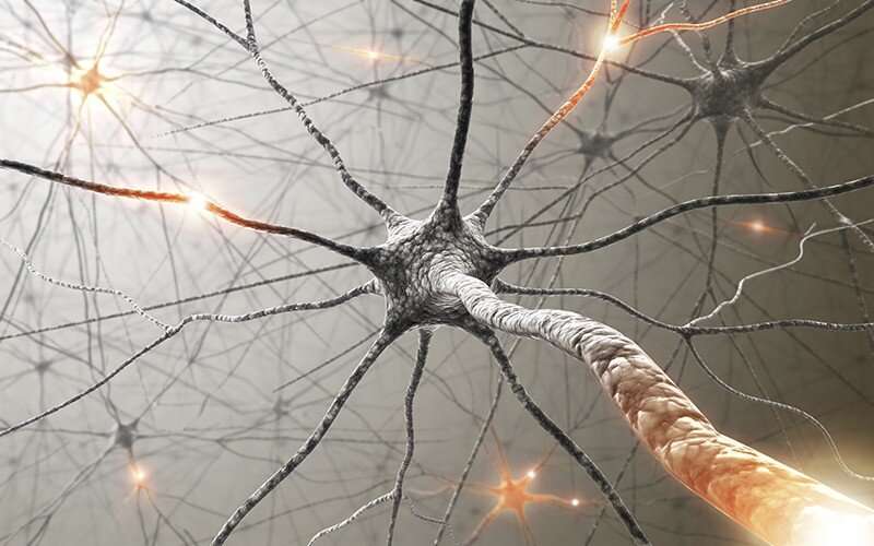 Tangled messages: Tracing neural circuits to chemotherapy's 'constellation of side effects'