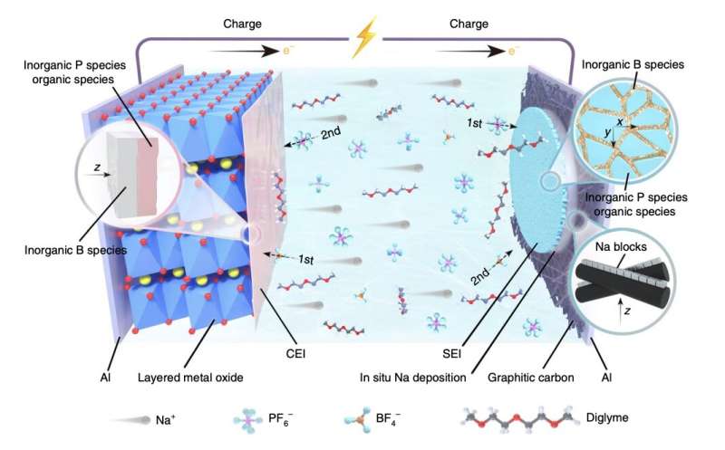 Team creates anode-free Na batteries with high energy densities and long cycle lifetimes