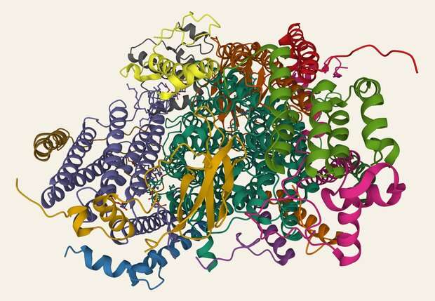 Team reveals surprising details of crucial energy-producing enzyme