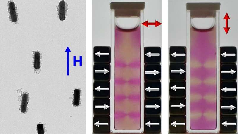 Technique allows researchers to align gold nanorods with magnetic fields