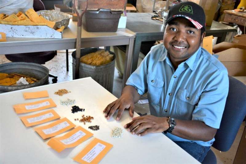 Tepary beans offer producers a low-input, climate-resilient legume alternative