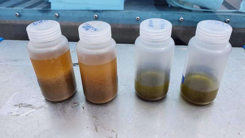 Testing lice traps on the Hardanger coast
