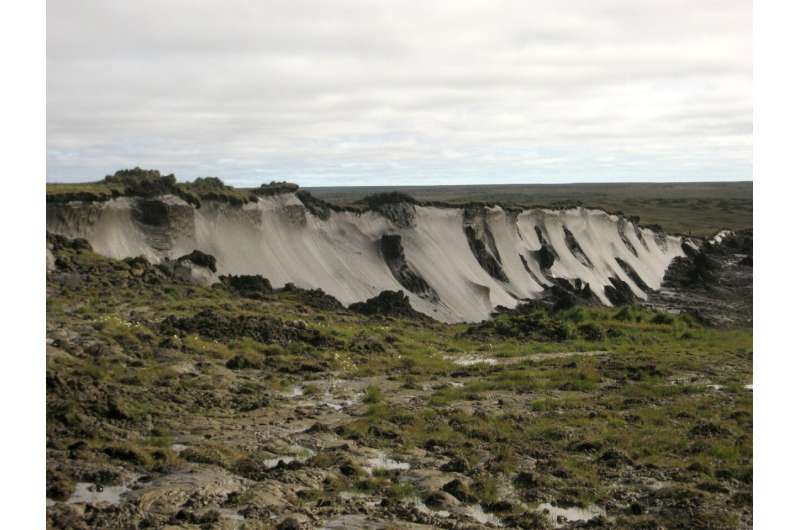 Thawing permafrost is shaping the global climate