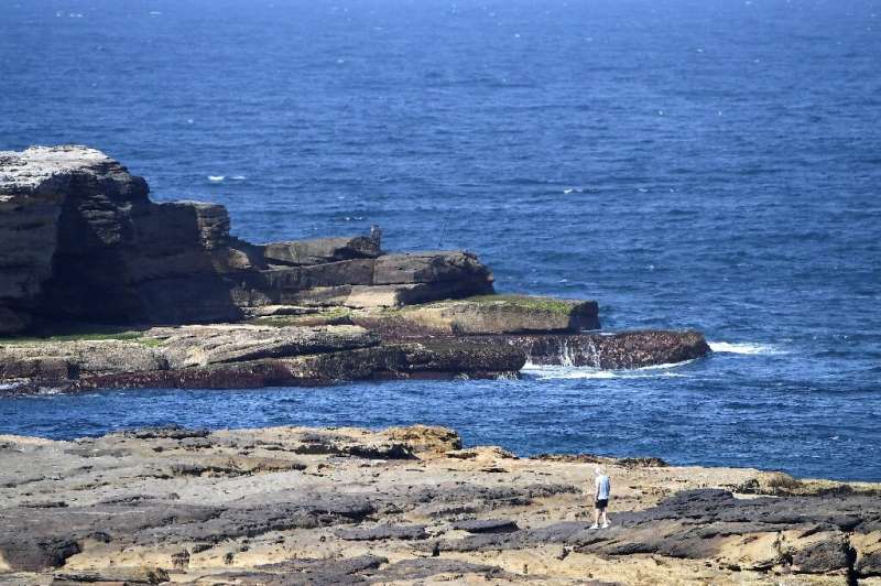 The attack near Little Bay was the first fatal shark attack in Sydney since 1963