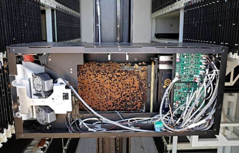 The automated beehive that form the project Beehome by an Israeli startup can automatically dispense sugar, water and medication