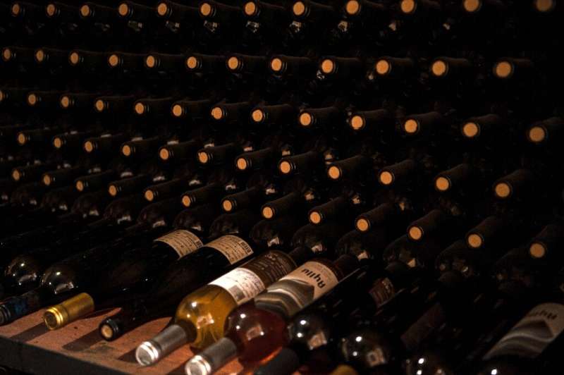 La cooperativa Ayllu rindió el equivalente a cerca del uno por ciento de la producción nacional de vino de Chile en 2022