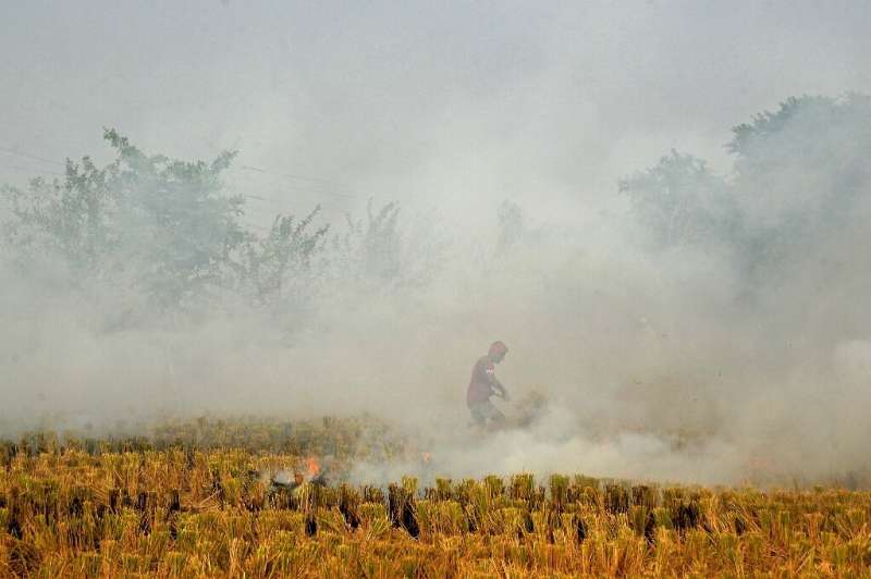 The burning of rice paddies after harvests across northern India takes place every year