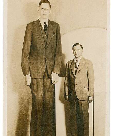 The definitive guide to getting tall