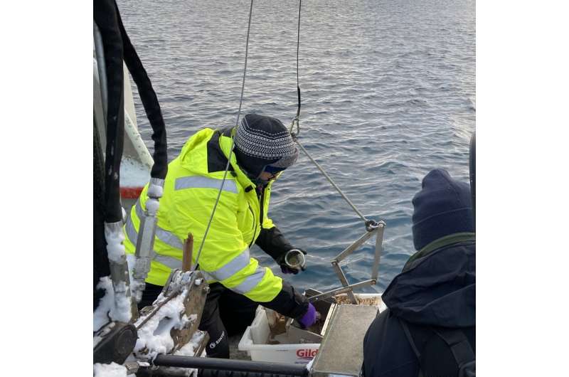 The Detectives: Hunting toxic chemicals in the Arctic
