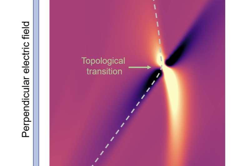 Detección directa de una transición de fase topológica a través de un cambio de signo en un dipolo de flexión de Berry