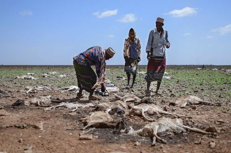 The drought has destroyed crops and inflicted &quot;abnormally&quot; high livestock deaths