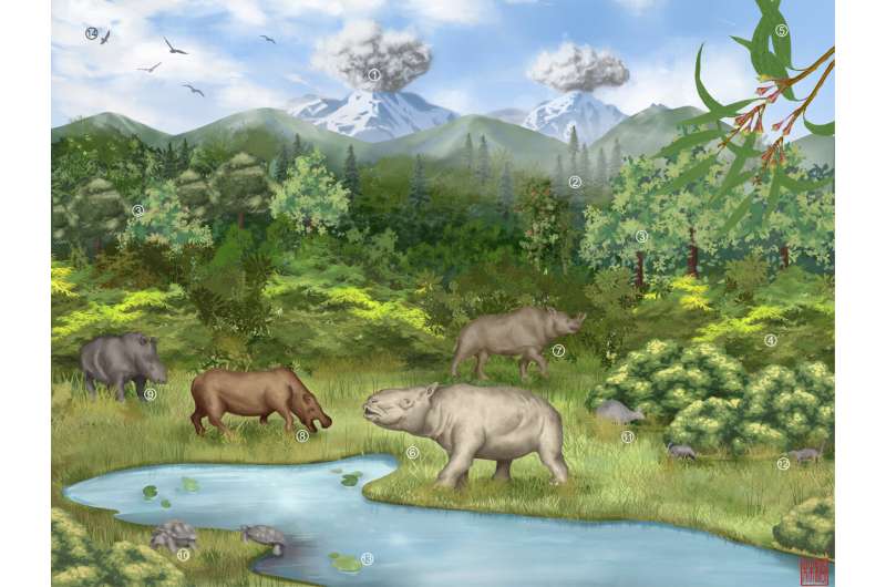 The Eocene rise of eastern Tibet drove an ancient monsoon that modernized Asian biodiversity