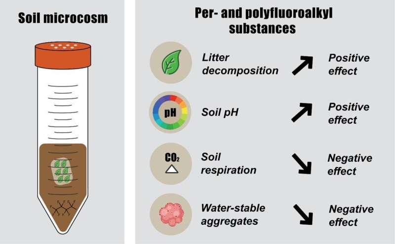 The “forever chemical”, per and polyfluoroalkyl substances (PFAS), as an emerging threat to soil health