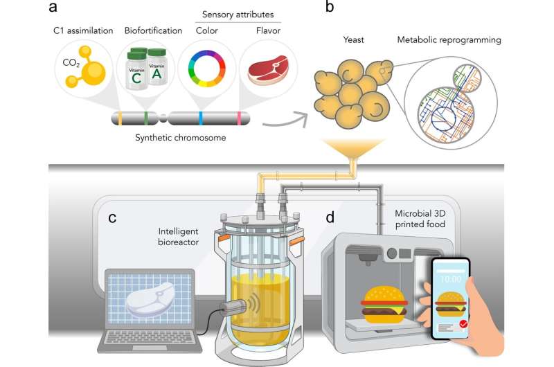 The future of space food: Using bioengineered yeast to feed humans off-Earth