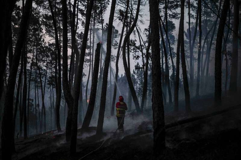 The government issued a national 'state of contingency' as the latest fires raged, which puts rescue personnel on alert
