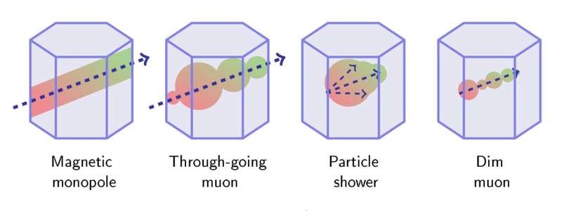 The IceCube Collaboration sets the most restrictive constraints on relic magnetic monopoles from the early universe 