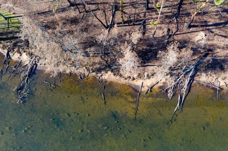 The impact of megafires on estuaries from Australia's 'Black Summer'