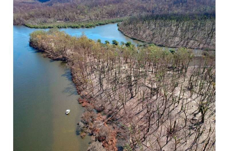 The impact of megafires on estuaries from Australia's 'Black Summer'