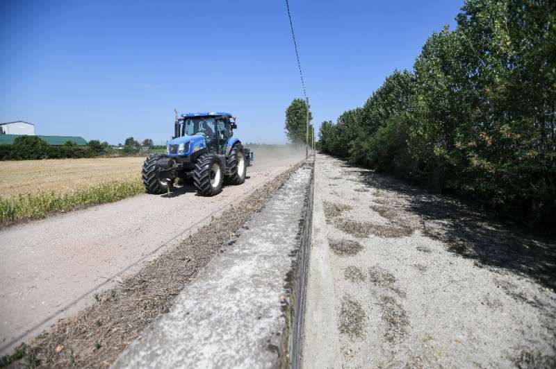 The irrigation canals that run alongside the fields are dry, or nearly so 