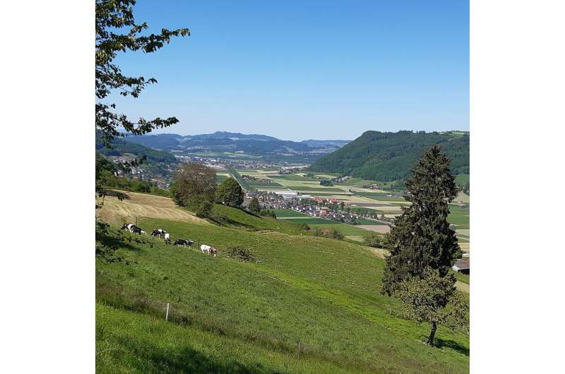 The last ice age widened the Aare and Gürbe valleys