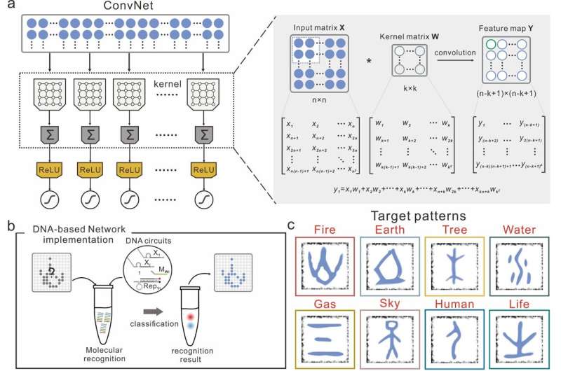 Molecular implementation of a DNA-based artificial neural network