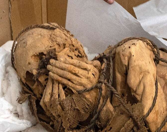 The mummy of an important man, thought to have been about 20 when he died, was found at the complex last November