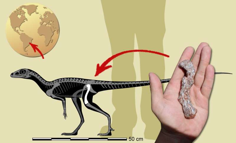 Precursor de dinosaurio más antiguo de América del Sur descubierto en Brasil